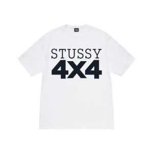 stussy t shirt