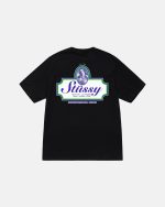 stussy t shirt