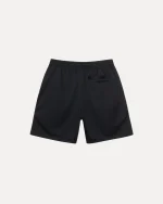 stussy shorts