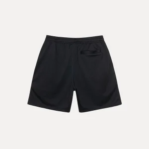 stussy shorts