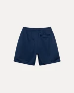 stussy shorts