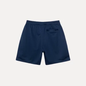 stussy shorts