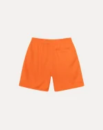 stussy shorts