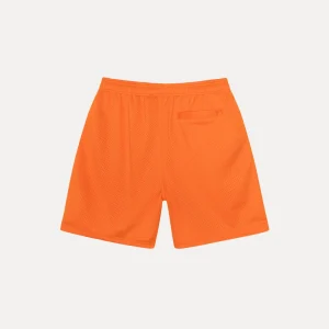 stussy shorts