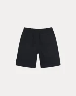 stussy shorts