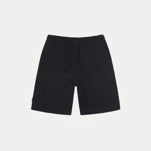 stussy shorts
