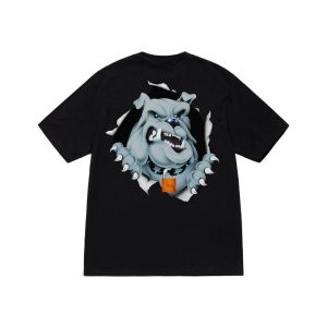 Stussy t shirt