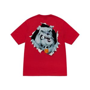 Stussy T shirt