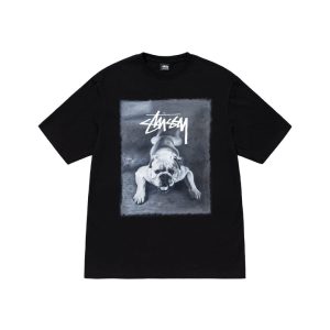Stussy T shirt