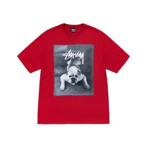 Stussy T shirt