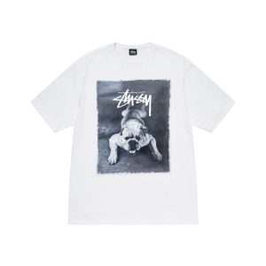 Stussy T shirt