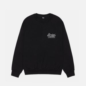 stussy sweatshirt