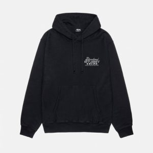 stussy hoodie