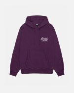 stussy hoodie