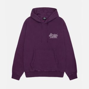 stussy hoodie