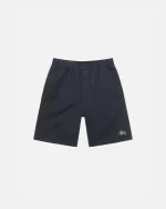 Stussy Shorts