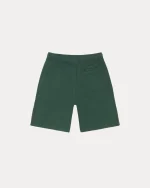 stussy shorts