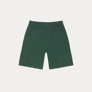 stussy shorts
