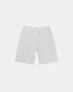 stussy short