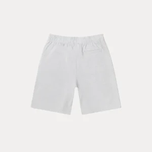stussy short