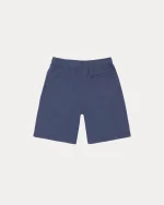 stussy shorts