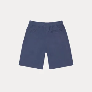 stussy shorts