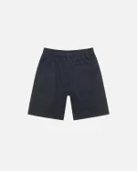 stussy shorts