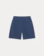 stussy shorts