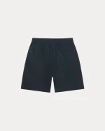 stussy shorts