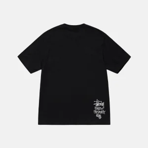 stussy t shirt