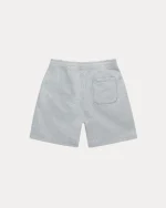 stussy shorts