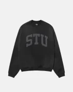 stussy sweatshirt