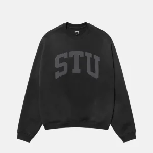 stussy sweatshirt