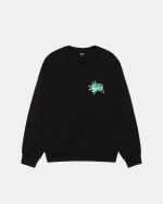 stussy sweatshirt