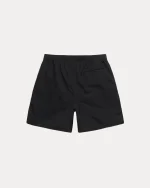 stussy shorts