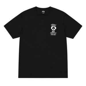stussy shirt